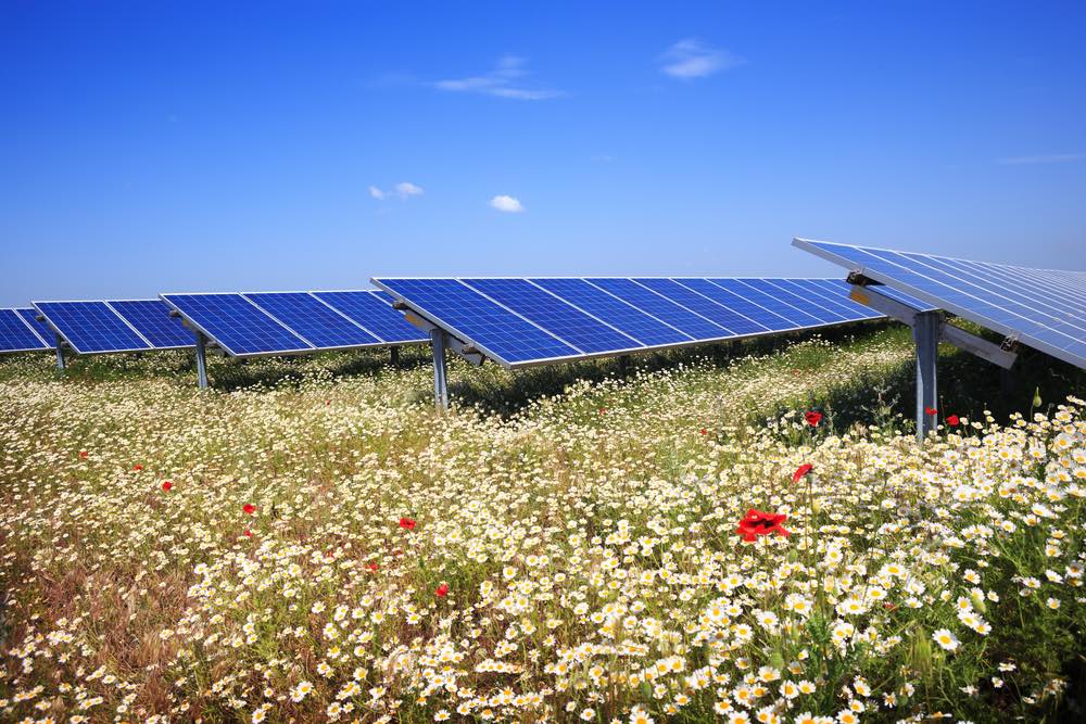 Huertos solares y su implementación en España