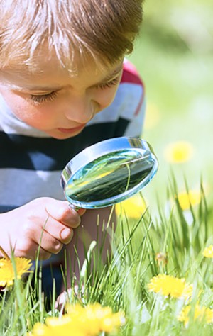 Educando a los niños en materia de sostenibilidad.