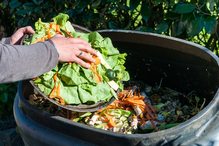 Compost o fertilizante natural hecho en casa