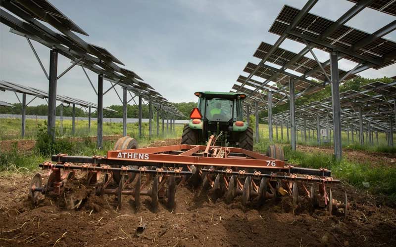 Agrovoltaica: un nuevo enfoque en la agricultura para compartir espacio con los paneles solares