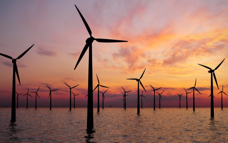 Los Países Bajos planean su mayor licitación de energía eólica marina para el año que viene