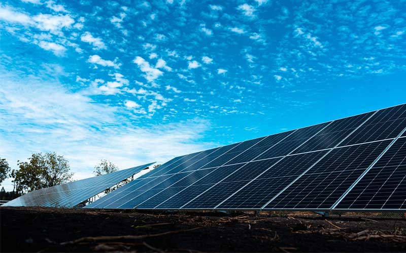 Lacteos Matthei y Colbún inauguran planta de energía solar en Yumbel, Chile