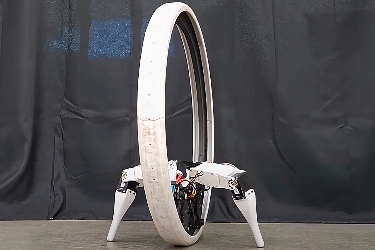 ‘Ringbot’, un robot monociclo, rueda y se equilibra con 2 diminutas patas
